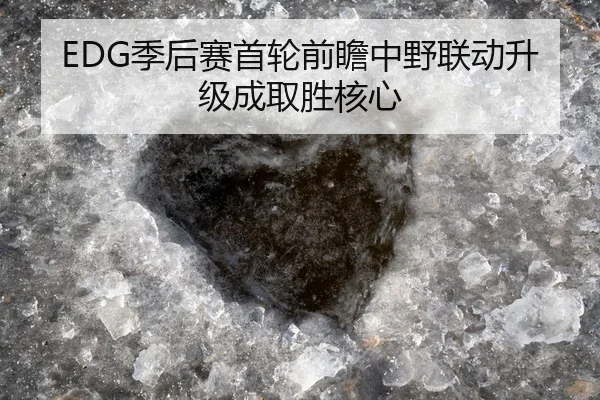 EDG季后赛首轮前瞻中野联动升级成取胜核心