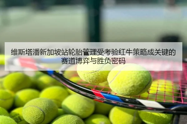 维斯塔潘新加坡站轮胎管理受考验红牛策略成关键的赛道博弈与胜负密码