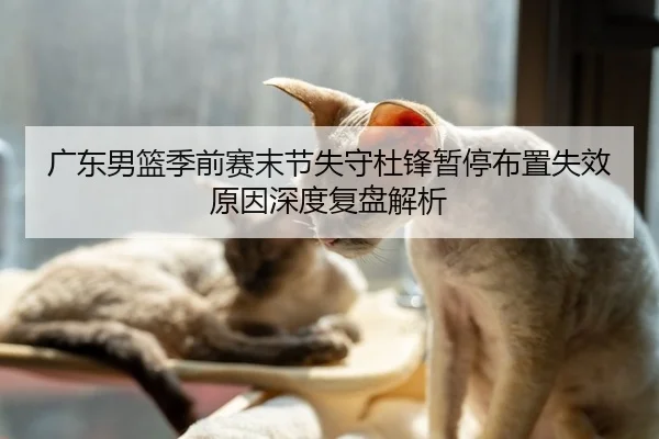 广东男篮季前赛末节失守杜锋暂停布置失效原因深度复盘解析